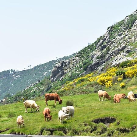 Villarejo del Valle Casa Ruben Dario 아파트 외부 사진